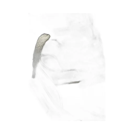 Area Lo Sneakers