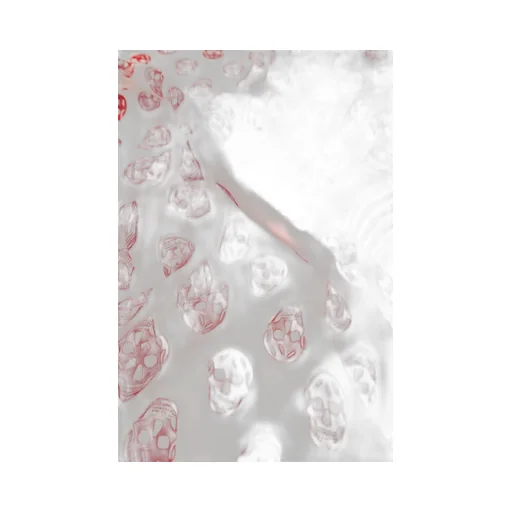 Skull-Printed Striped Edge Scarf