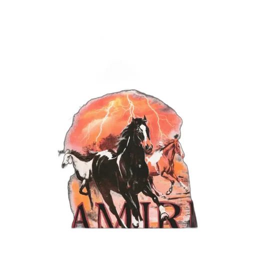 Plains Graphic T-Shirt