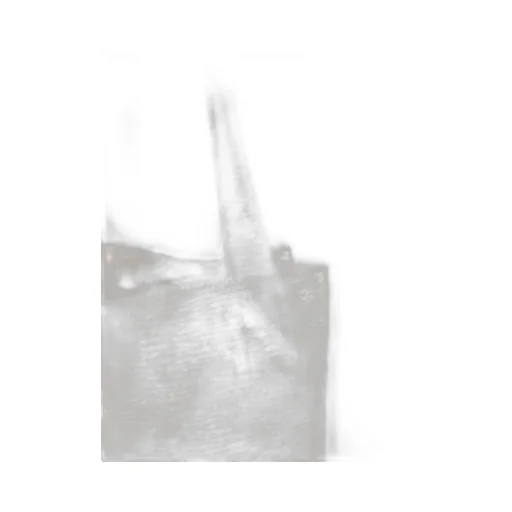 The Reflection Shoulder Bag