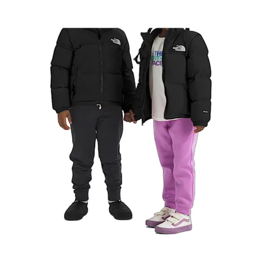 1996 Retro Nuptse Jacket