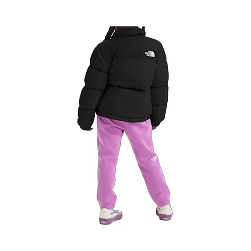 1996 Retro Nuptse Jacket