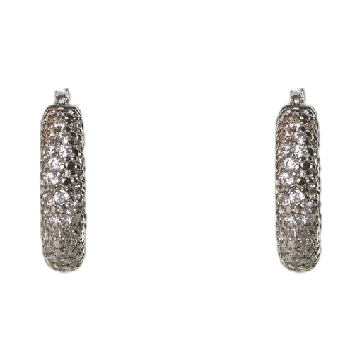 Rhinestone Embellished Hoop Earrings