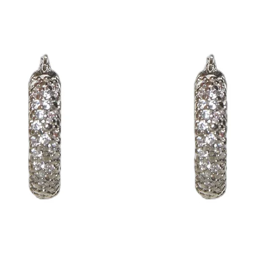 Rhinestone Embellished Hoop Earrings
