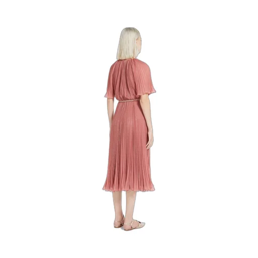 Georgette Pleated Dress