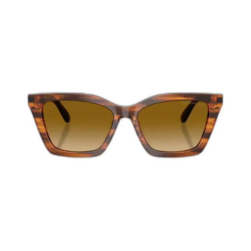 Full Frame Sunglasses