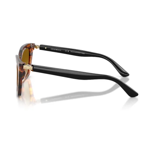 Full Frame Sunglasses