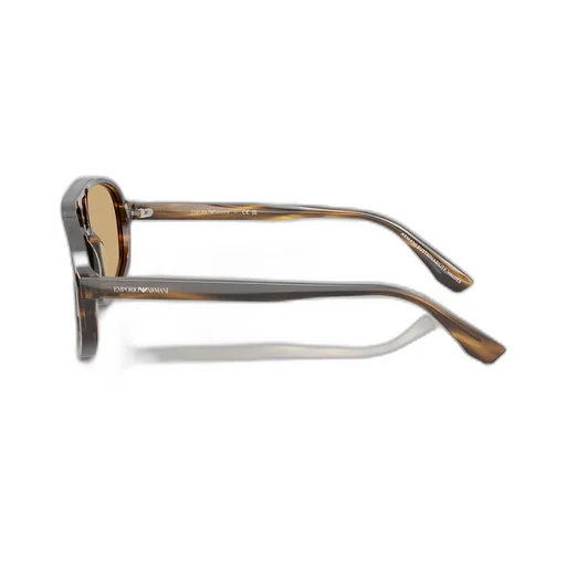 Full-Frame Sunglasses