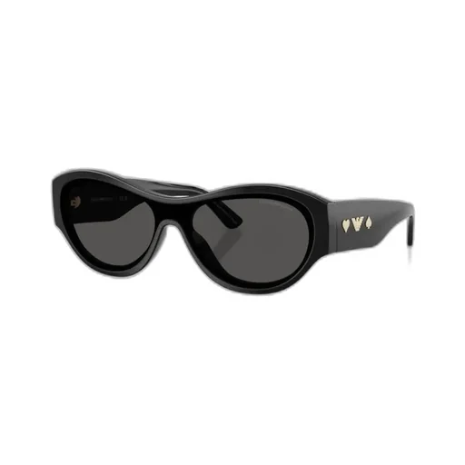 Full Frame Sunglasses