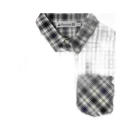 Altman Checked Pocket Shirt