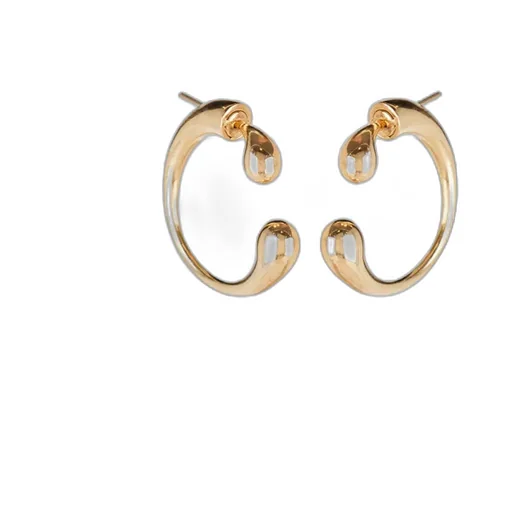 Pendant Earrings