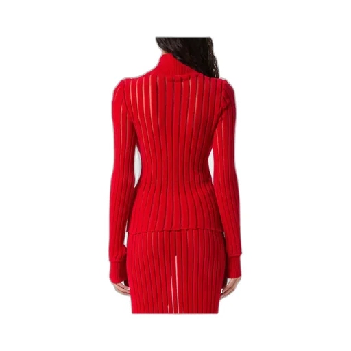 High-Neck Semi-Sheer Ribbed Top