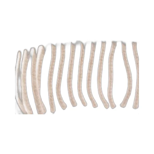 Knitted Fringed Scarf