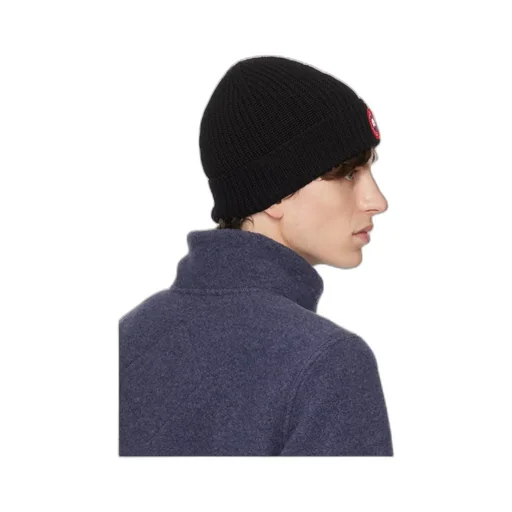 Arctic Disc Wool Hat