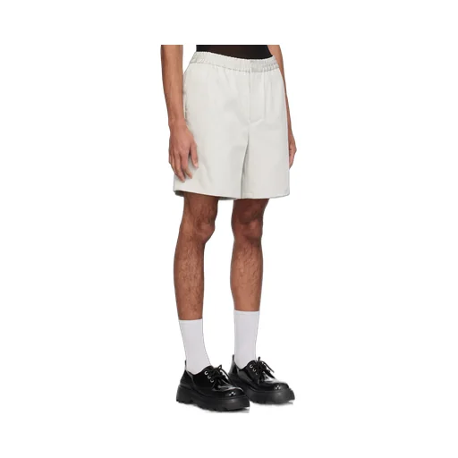 Regular Fit Chino Shorts