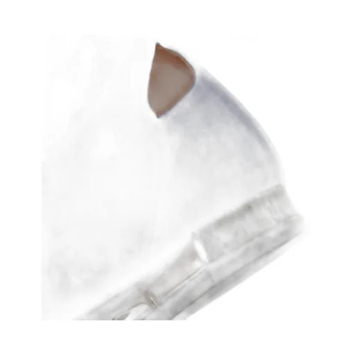 Round Toe Ballet Flats