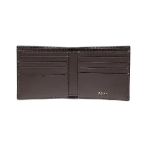 Folding Wallet