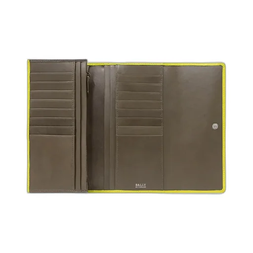 Logo Details Wallet