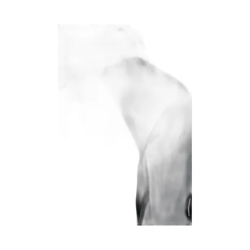 Pro-Tek Hooded Jacket