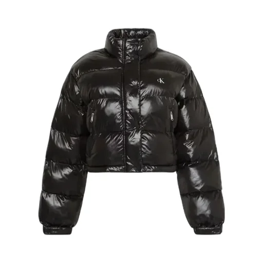 High Neck Crop Shiny Down Jacket