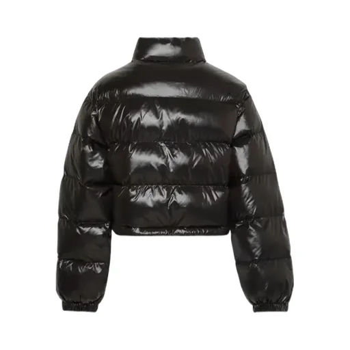 High Neck Crop Shiny Down Jacket