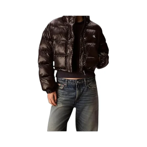 High Neck Crop Shiny Down Jacket