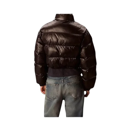 High Neck Crop Shiny Down Jacket