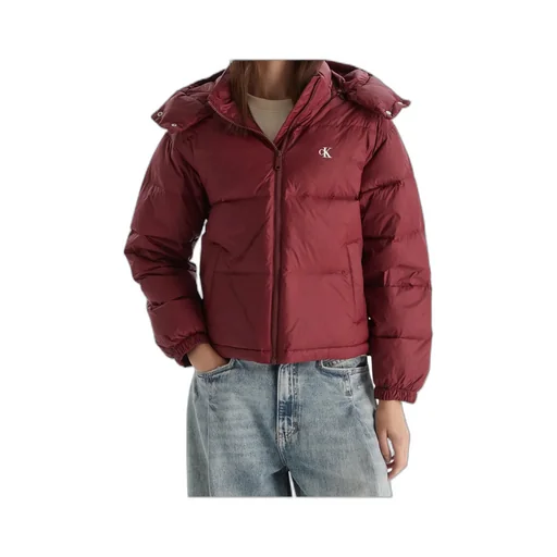 Long-Sleeved Down Jacket