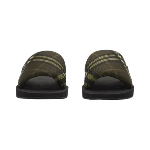 Check Trek Slides