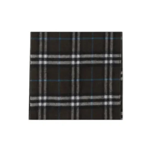 Checked Fringed Scarf