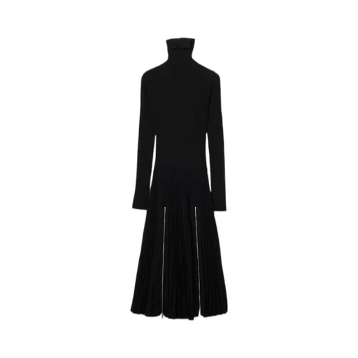 Long Sleeved Zip-Detailed Turtleneck Dress