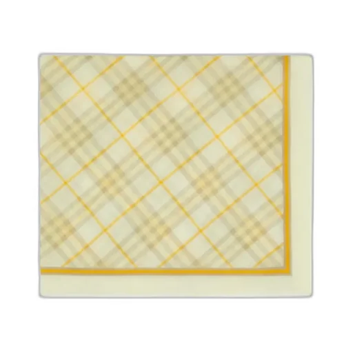 Checked Striped Border Scarf
