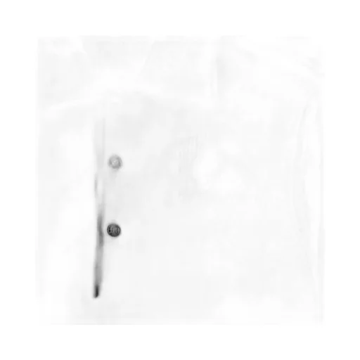 Ekd Detailed Short Sleeved Ribbed Polo Top