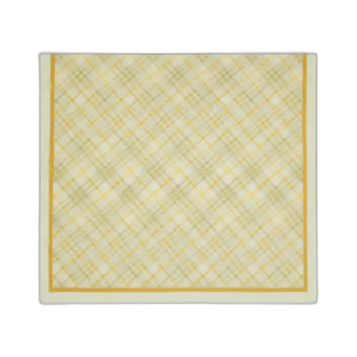 Checked Striped Border Scarf