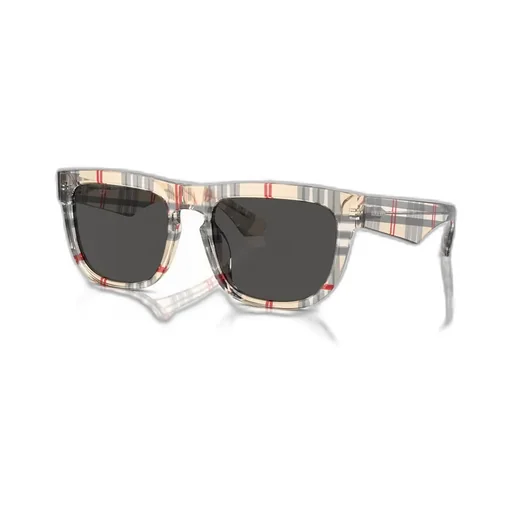Square Frame Sunglasses