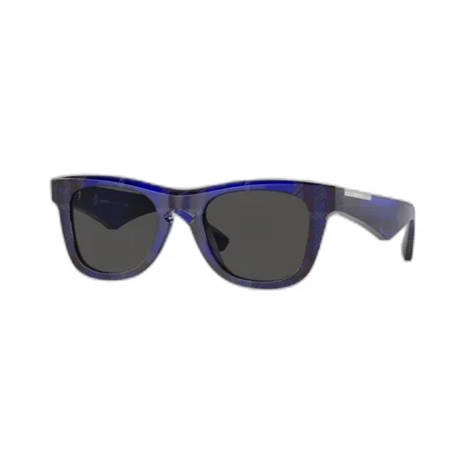 Square Frame Sunglasses