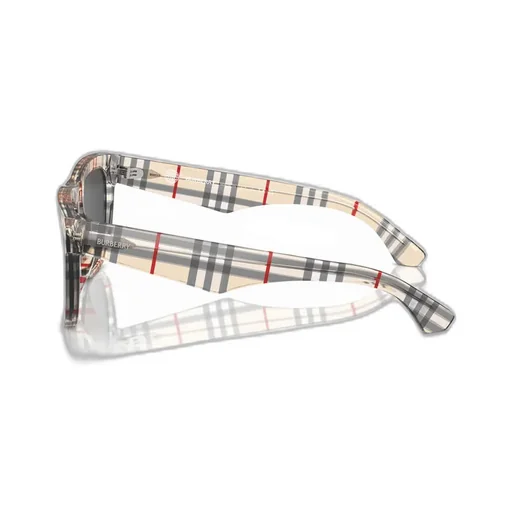Square Frame Sunglasses