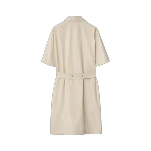 Short-Sleeve Shirt Dress