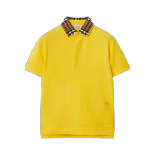 Check-Collar Logo Embroidered Polo Shirt