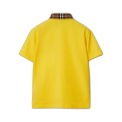 Check-Collar Logo Embroidered Polo Shirt