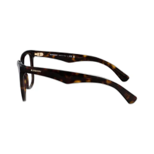 Square Frame Glasses