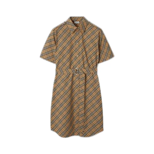 Checked Belted Short Sleeved Mini Dress