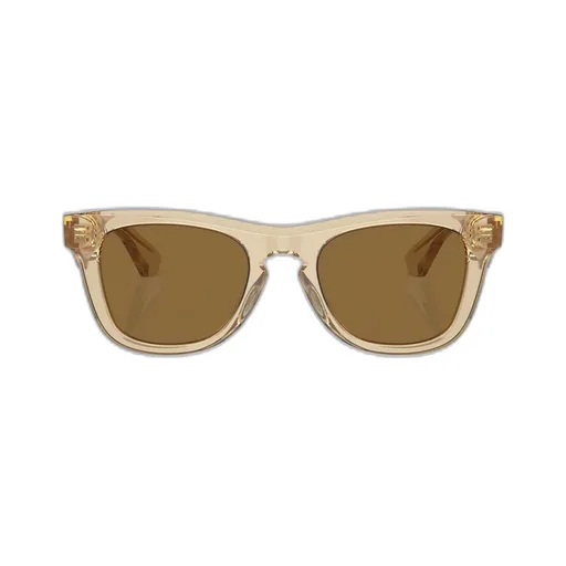 Square Frame Sunglasses
