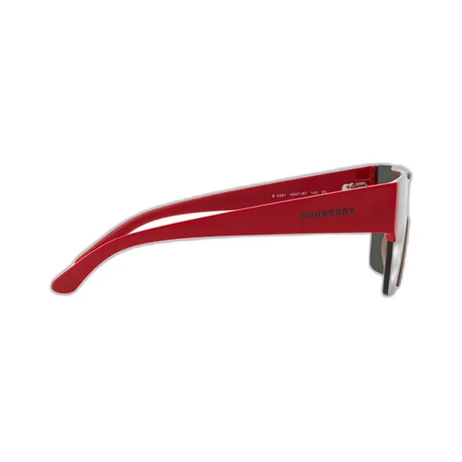 Oversized Frame Sunglasses