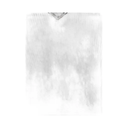 Monili-Detailed Ribbed T-Shirt