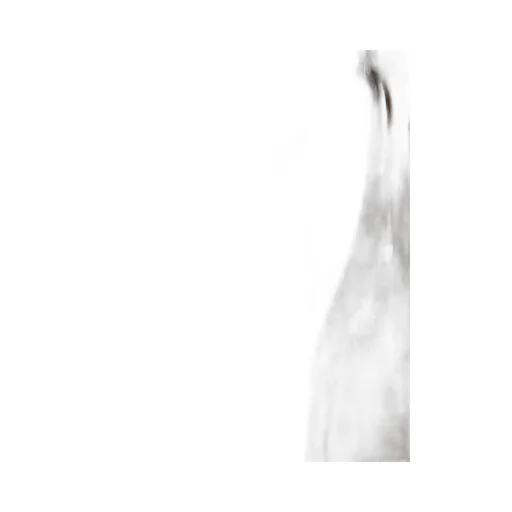 Drawstring Tapered-Leg Sweatpants