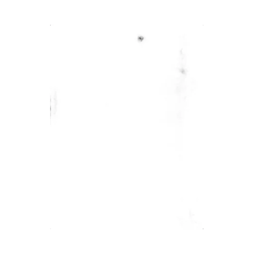 Sequin Embellished Frayed Scarf