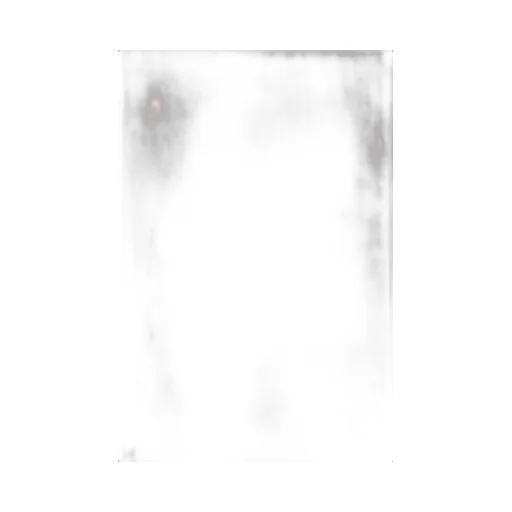 Monili Embroidered Crewneck T-Shirt