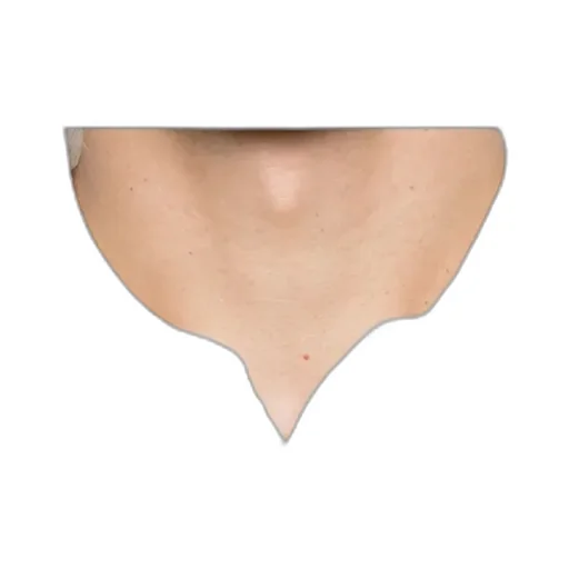 Short-Sleeved Ribbed Polo Shirt