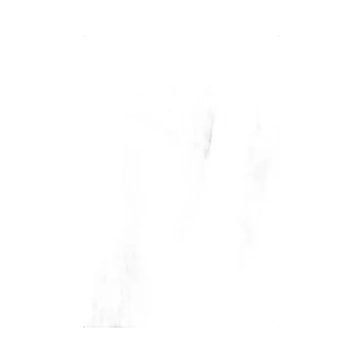 Darted Elasticated Waistband Shorts